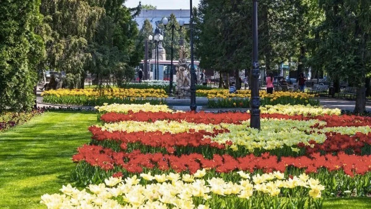 Iași Brașov sau Târgoviște (sursa: ziaruldeiasi.ro)