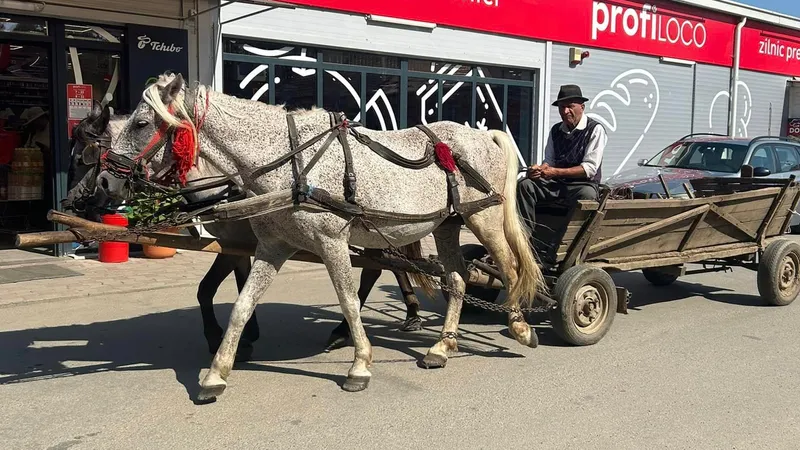 România, după Bulgaria, într-un clasament privind calitatea vieţii  Foto: Facebook