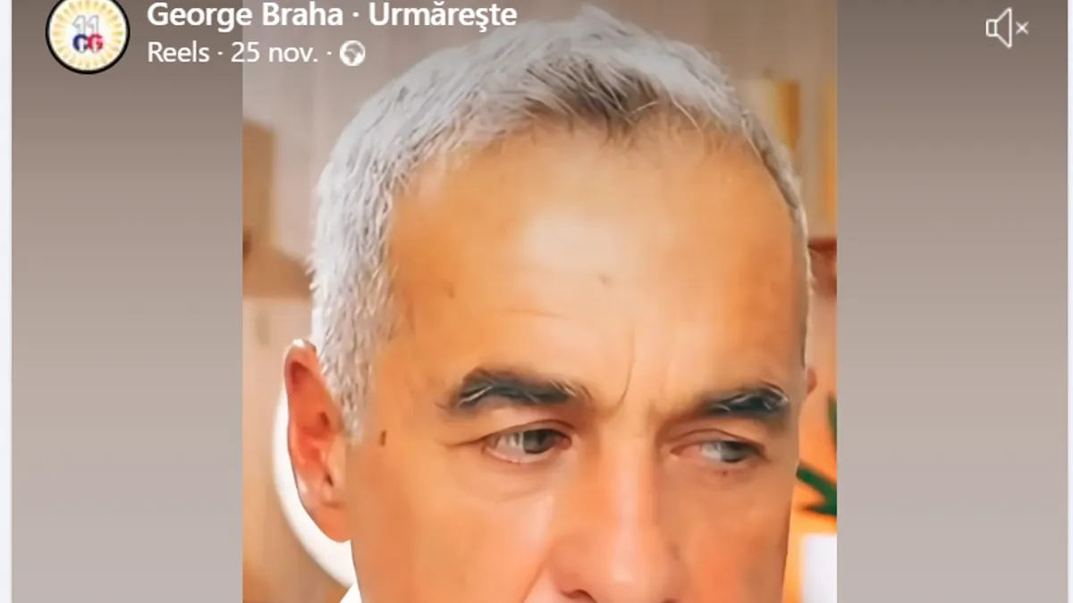 Soția șefului AEP, Toni Greblă, face propagandă pentru Călin Georgescu Foto: print screen