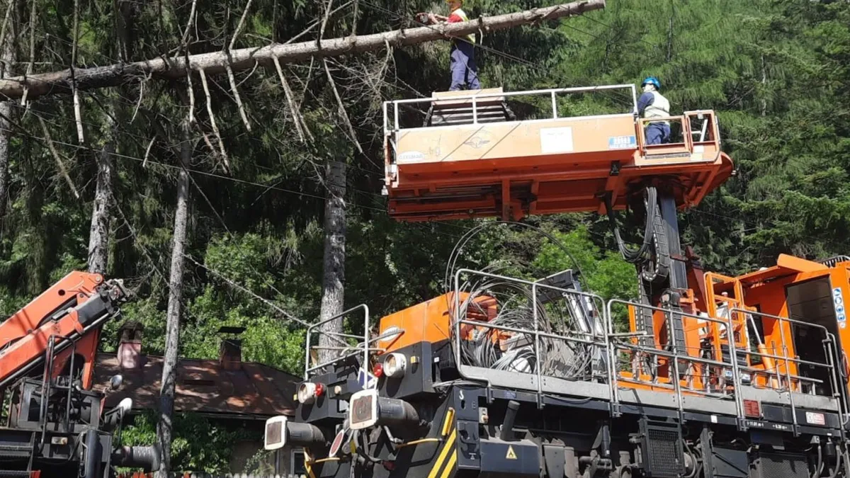 Un copac a blocat șase ore calea ferată pe Valea Prahovei Foto: Club Feroviar