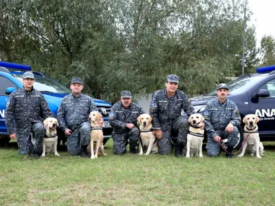 PSD preia controlul vămilor Foto: Facebook 