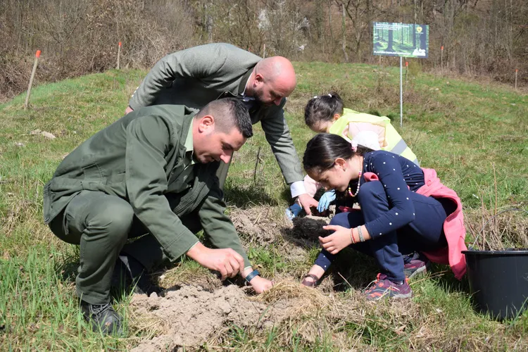 Fulop contestă existenţa unei crize de puieţi Foto: Romsilva