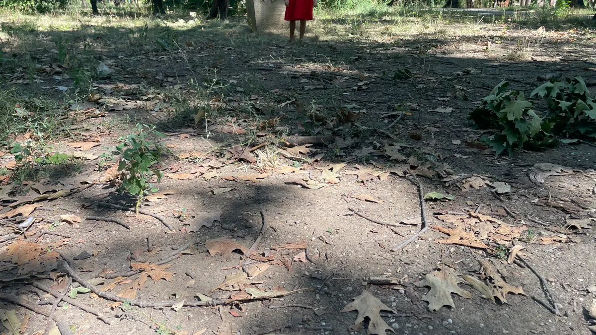 Parcul Herăstrău, un maidan prăfuit, abandonat (sursa: defapt.ro)