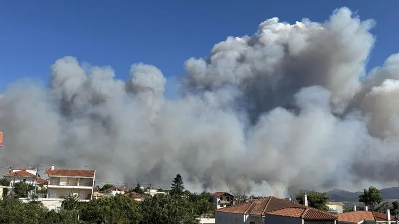 Incendiile de pădure, dezastru în Grecia (sursa: ekathimerini.com)
