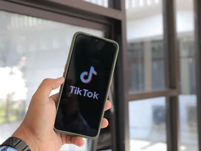 TikTok nu înseamnă carieră, avertizează BNR (sursa: Pexels/greenwish _)