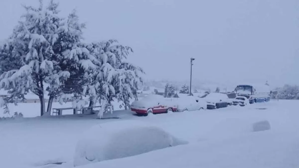 Ninsori neobişnuite în Africa de Sud (sursa: X/Africa Facts Zone)