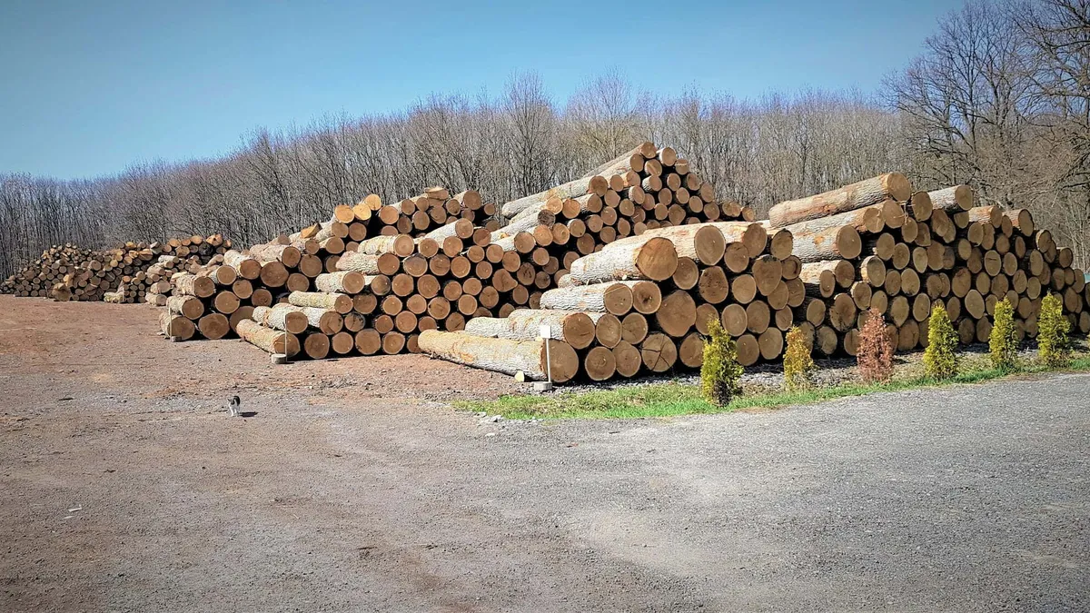 Zeci de mii, prime la Romsilva (sursa: Facebook/Romsilva)