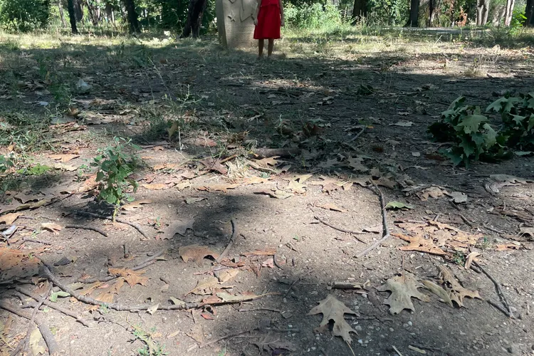 Parcul Herăstrău, un maidan prăfuit, abandonat (sursa: defapt.ro)