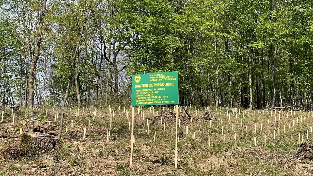 Director adjunct la Romsilva, conflict de interese (sursa: Facebook/Romsilva - Directia Silvica Valcea)