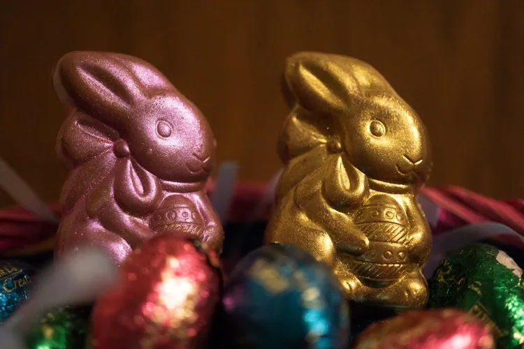 Redenumirile iepurașului de Paște inflamează Germania (sursa: Pexels/Nancy Zjaba)