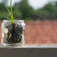 Pilonul II de Pensii anunță că câștigurile sale nete au depășit 100 miliarde lei. Olguța Vasilescu a declarat, recent, că sunt „o mare țeapă”