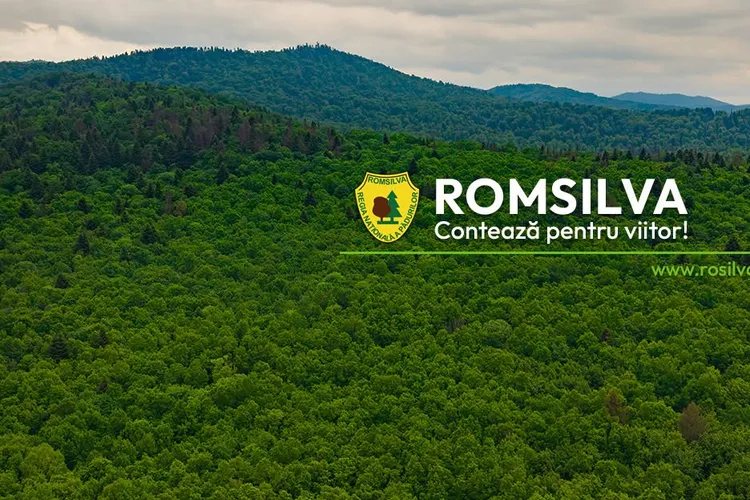 Romsilva recunoaște că oferă sindicatului nu doar mașini, ci și „spații adecvate”