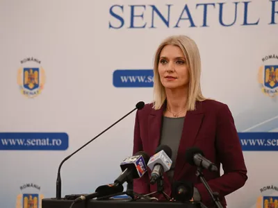 Senatorii au nevoie de multe limuzine (sursa: Facebook/Alina Gorghiu)