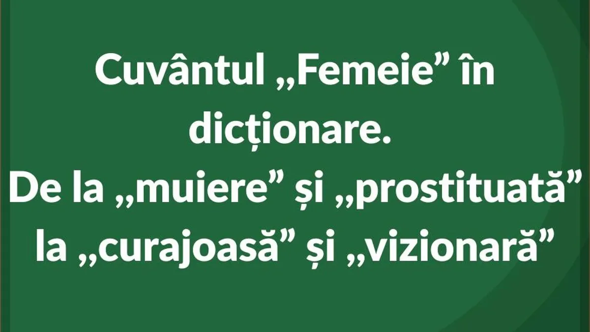 DEX definește „femeie” prin termeni ofensatori (sursa: Facebook/World Vision Romania)