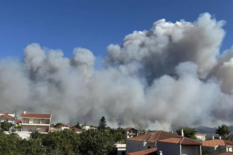 Incendiile de pădure, dezastru în Grecia (sursa: ekathimerini.com)
