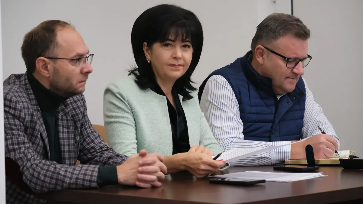 DNA s-a dus peste președintele PSD al Consiliului Județean Botoșani, Doina Fedorovici Foto: Facebook