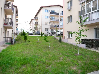 Cartier nou, canalizare înfundată (sursa: ziaruldeiasi.ro)