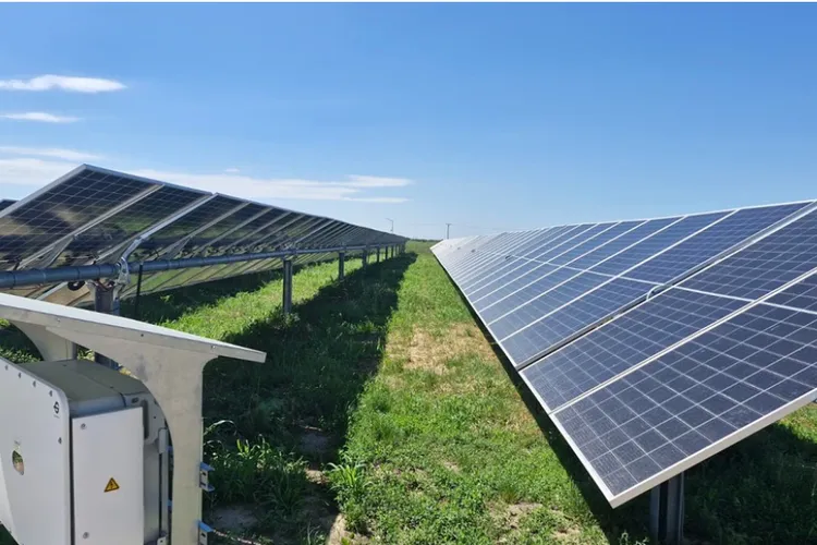 Contracte pe bani publici către firmele aceluiași afacerist: peste 20.000 de euro pentru un parc fotovoltaic