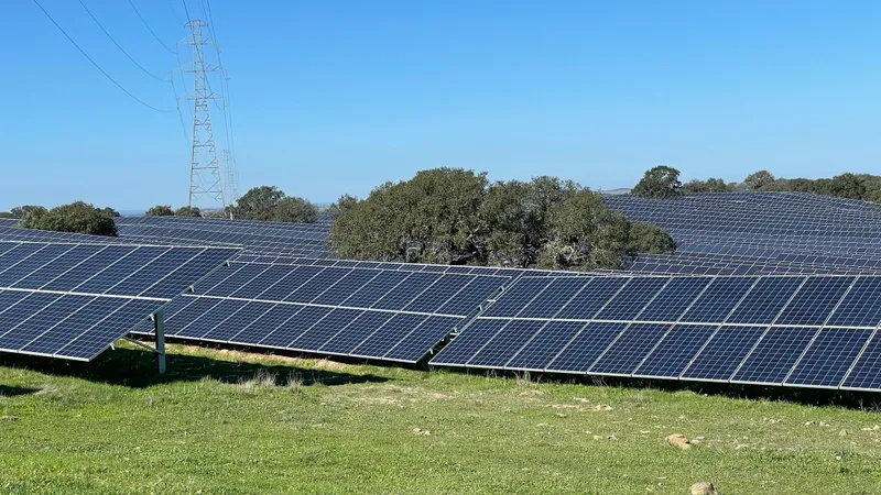 Au început construirea celei mai mari centrale solare plutitoare Foto: Twitter