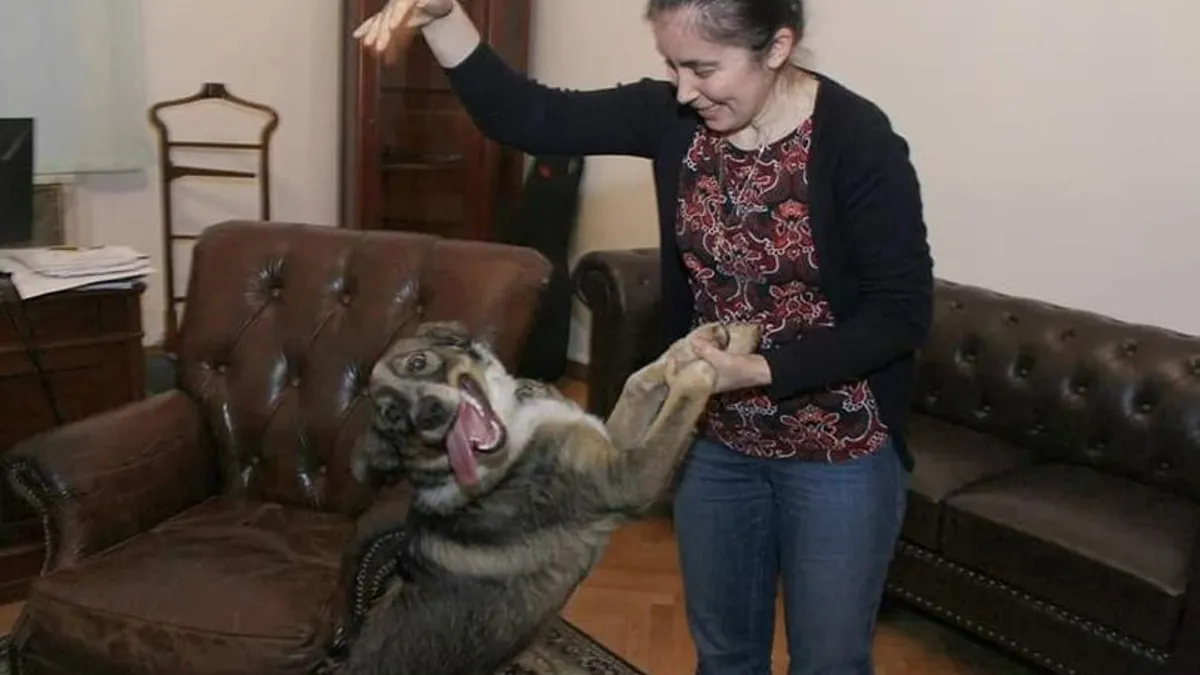 PNL și-a dus câinele la adăpost (sursa: Facebook/Ludovic Orban)