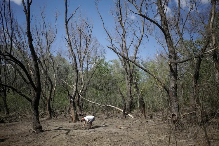 Fragmente de dronă rusă lângă Plauru (sursa: Inquam Photos/Ovidiu Micsik)