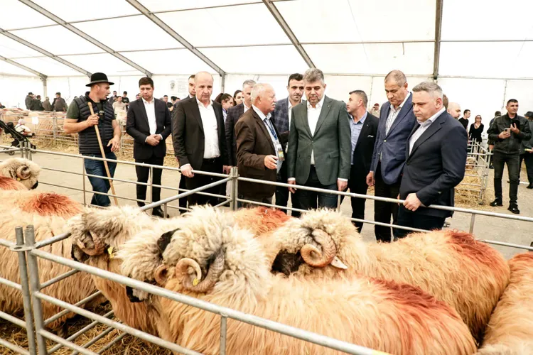 Cum se sifonau subvențiile UE pentru agricultură Foto: Facebook Marcel Ciolacu