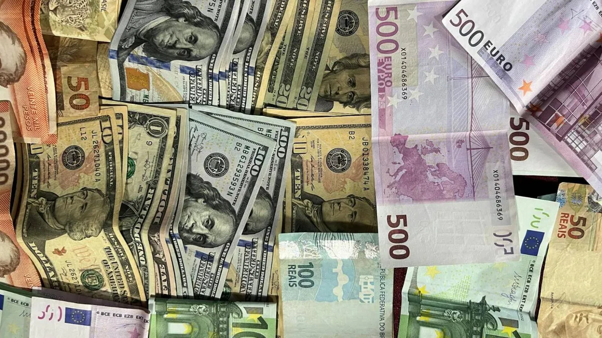 Leul se apreciază după rezultatul alegerilor (sursa: Pexels/Valmir Zanellato)