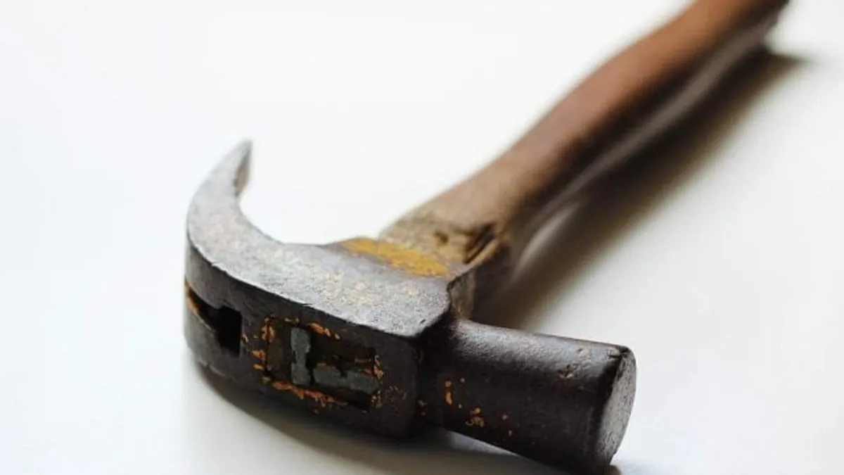 "Meseriaș" etnobotanic, cu ciocan și foarfece (sursa: ziaruldeiasi.ro)