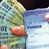 Pensii de doar 250 de euro (sursa: ziaruldeiasi.ro)