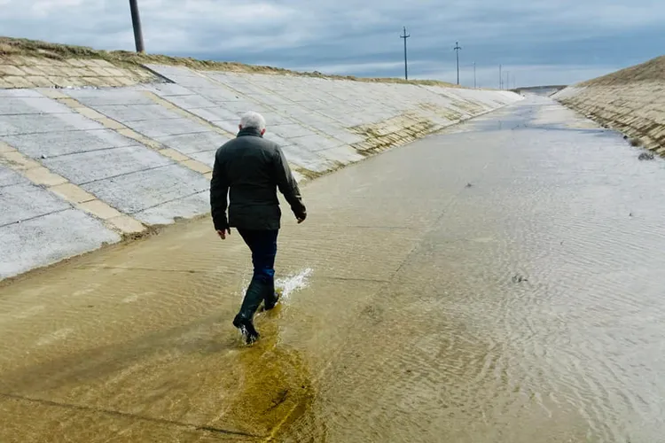 Daea, îngrijorat că românii se vor năpusti asupra făinei din greieri Foto: Facebook Petre Daea