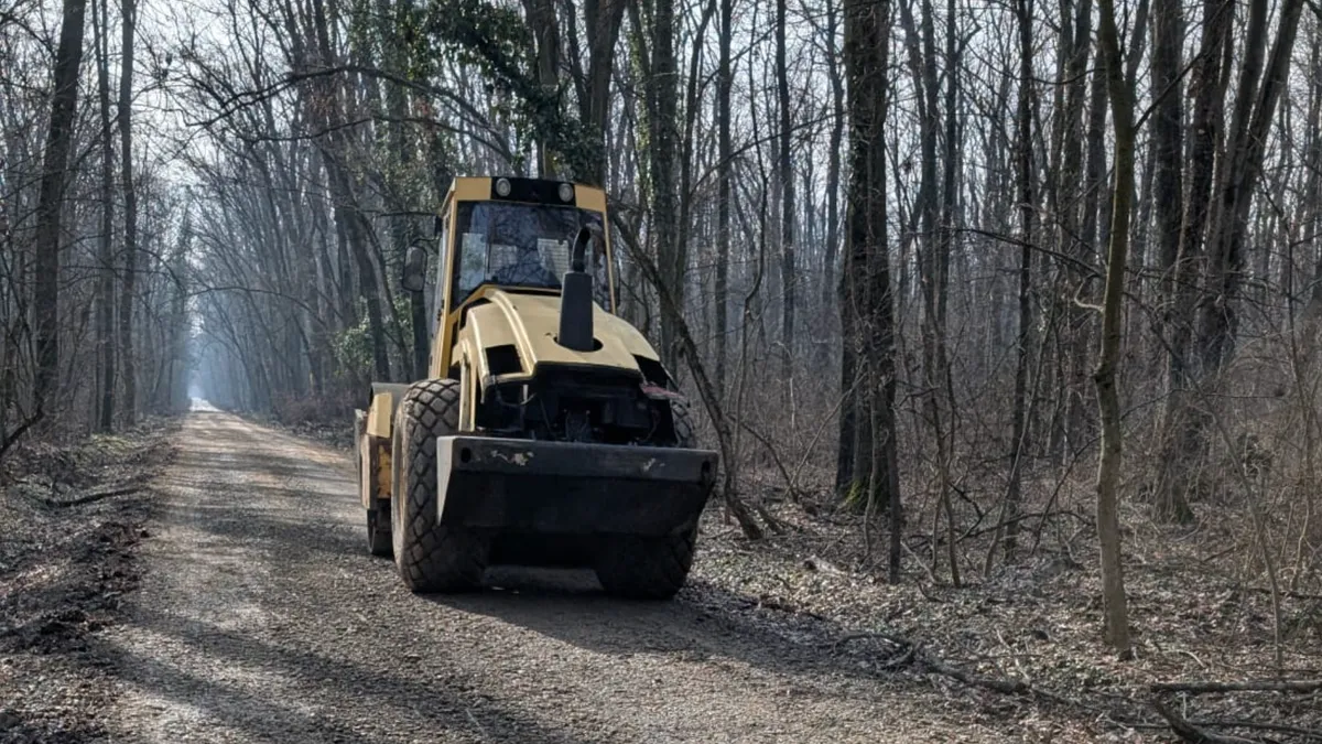Sfidare uriașă a dezvoltatorilor Greenfield: consolidează drumul forestier prin pădurea Băneasa, deși Ministerul Mediului l-a declarat ilegal (sursa: Facebook/Asociația Parcul Natural București)