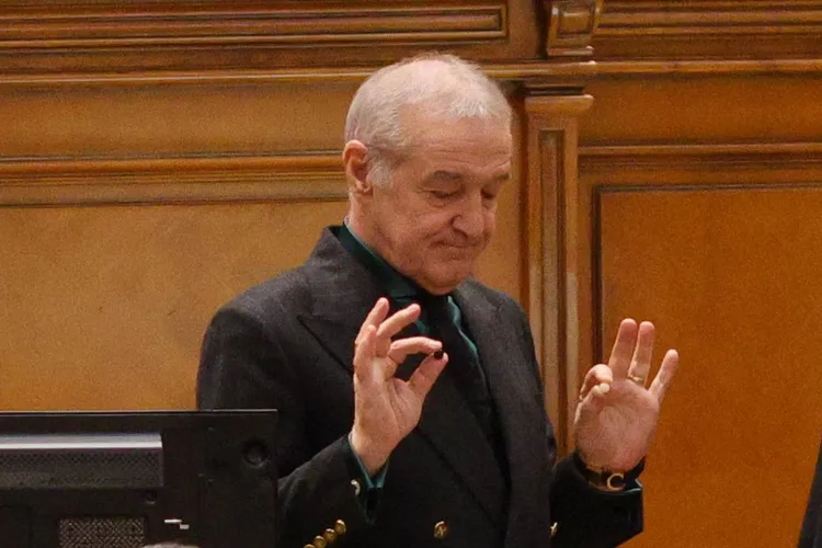 Gigi Becali laudă UE și NATO (sursa: Inquam Photos/Octav Ganea)