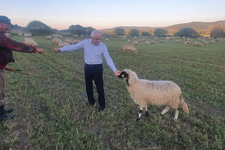 PSD i-a oferit o sinecură lui Daea Foto: Facebook