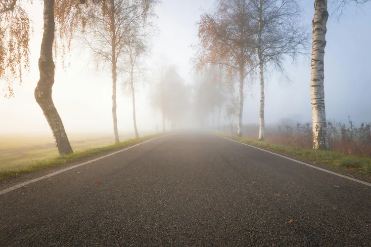 Cod galben de ceață densă în 11 județe (sursa: Pexels/Felix)