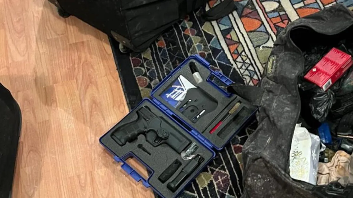 Banii și armele lui Horațiu Potra