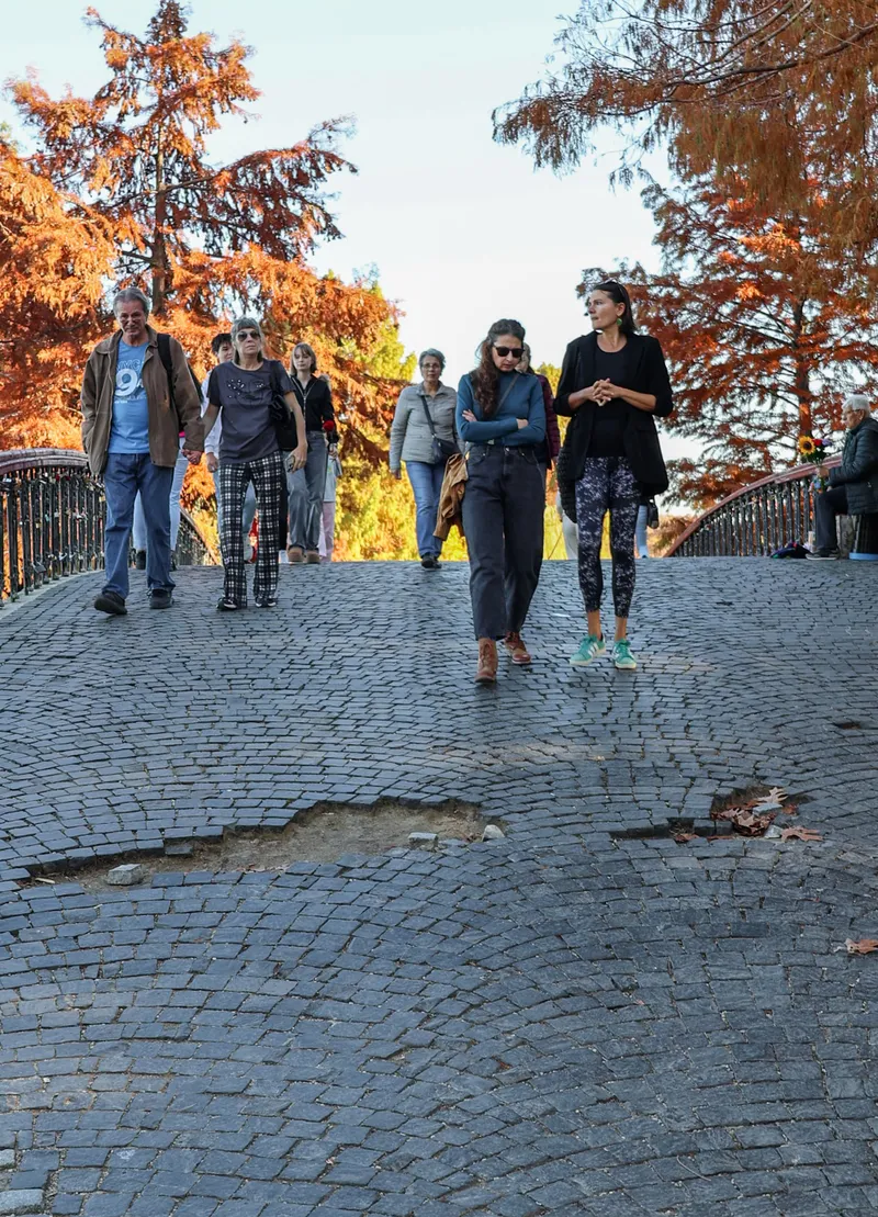Ciprian Ciucu va amenaja cu prioritate Parcul Herăstrău