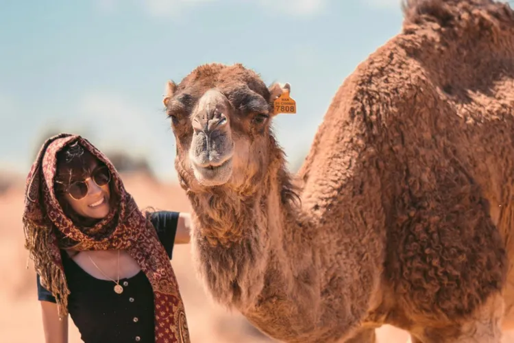 Vacanță cu peripeții, mușcături periculoase (sursa: Pexels/Taryn Elliott)