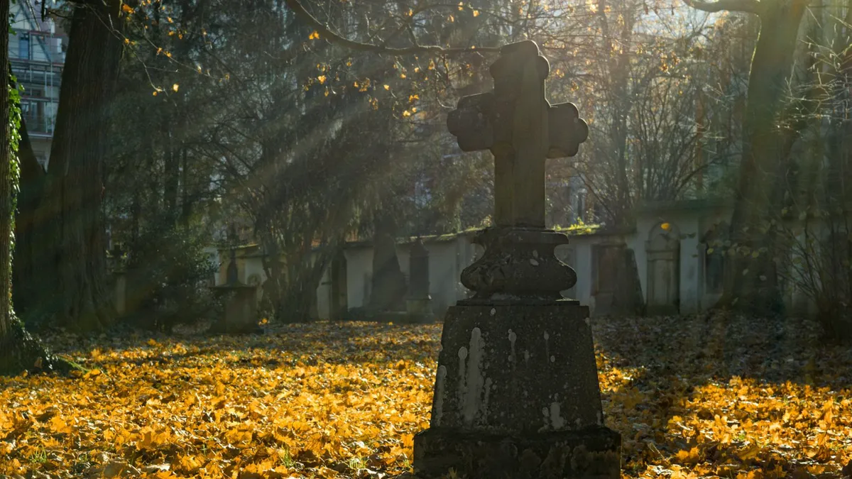 "Revoluționari" ieșeni, locuri de veci gratuit (sursa: Pexels/mali maeder)