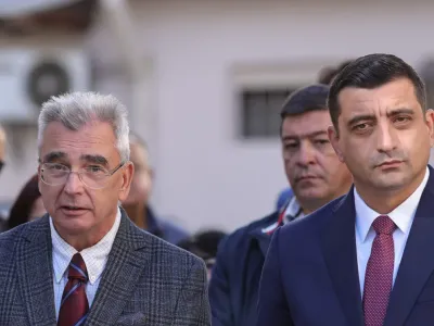 Petrisor Peiu a aflat la Cotroceni că Simion nu vine la consultări