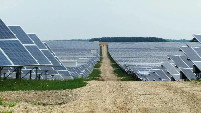 Fotovoltaicele produceau mai multă energie decât cărbunele sau gazele Foto: Facebook