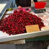 Cireșele de primăvară, costul unui kilogram (sursa: ziaruldeiasi.ro)