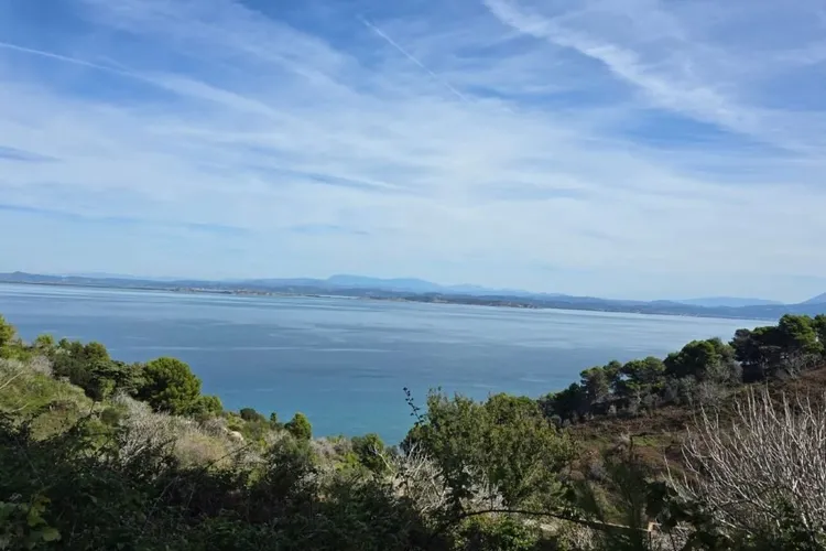 Ginerele lui Trump vs organizații ecologiste (Albania) (sursa: BIRN)