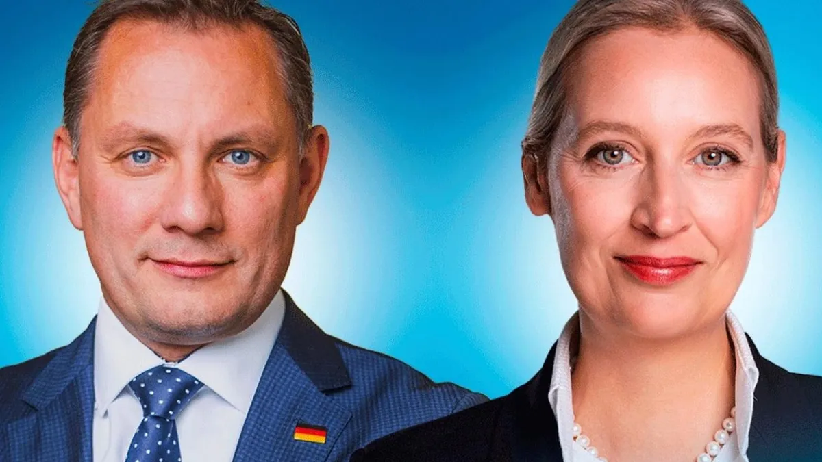 Social-democrații din Germania cer interzicerea AfD (sursa: Facebook/AfD)