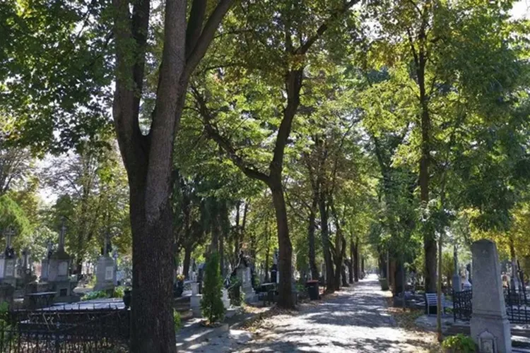 Locuri de veci, preț de garsonieră (sursa: ziaruldeiasi.ro)