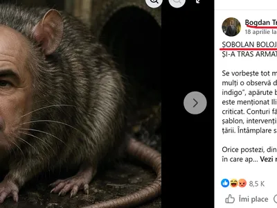 PSD ar depune plângere penală împotriva meme-urilor cu șobolani, dar și-ar încrimina conducerea Foto: Print-screen Bogdan Trif
