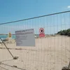 EXCLUSIV Extinderea plajelor, un dezastru ecologic de un miliard de euro: curenți mortali, țărm distrus, faună și floră marine periclitate