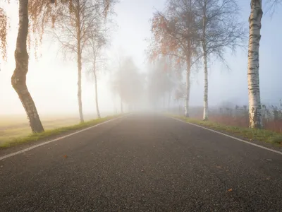 Cod galben de ceață densă în 11 județe (sursa: Pexels/Felix)