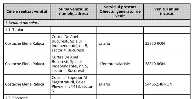 Declarația de avere din 2024 a șefei CSM (sursa: CSM)