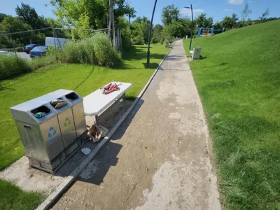 Parc exorbitant, ținut închis de Primărie (sursa: ziaruldeiasi.ro)