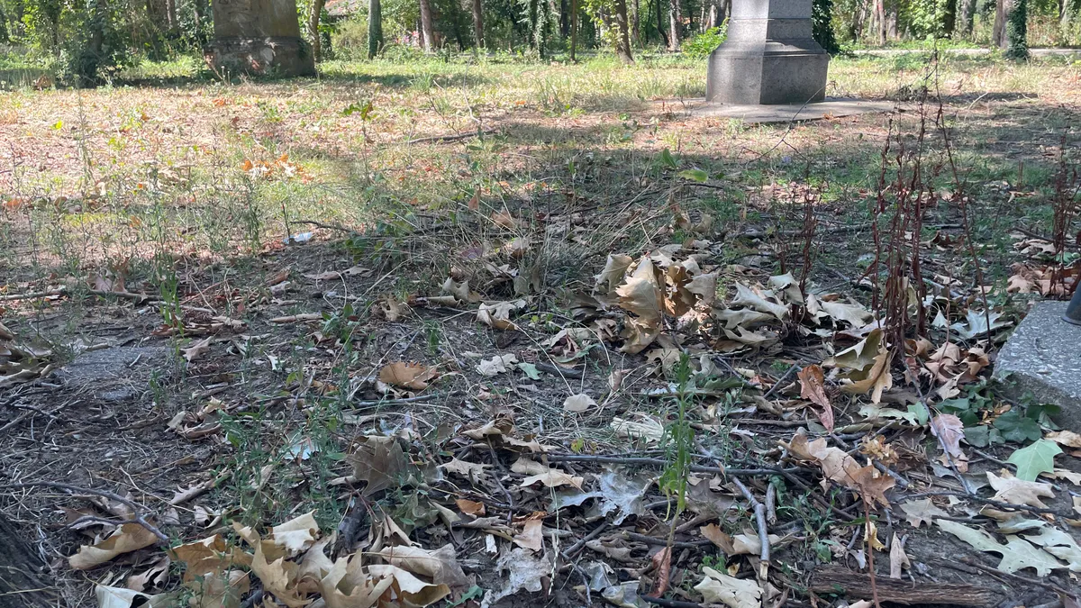 Parcul Herăstrău, un maidan prăfuit, abandonat